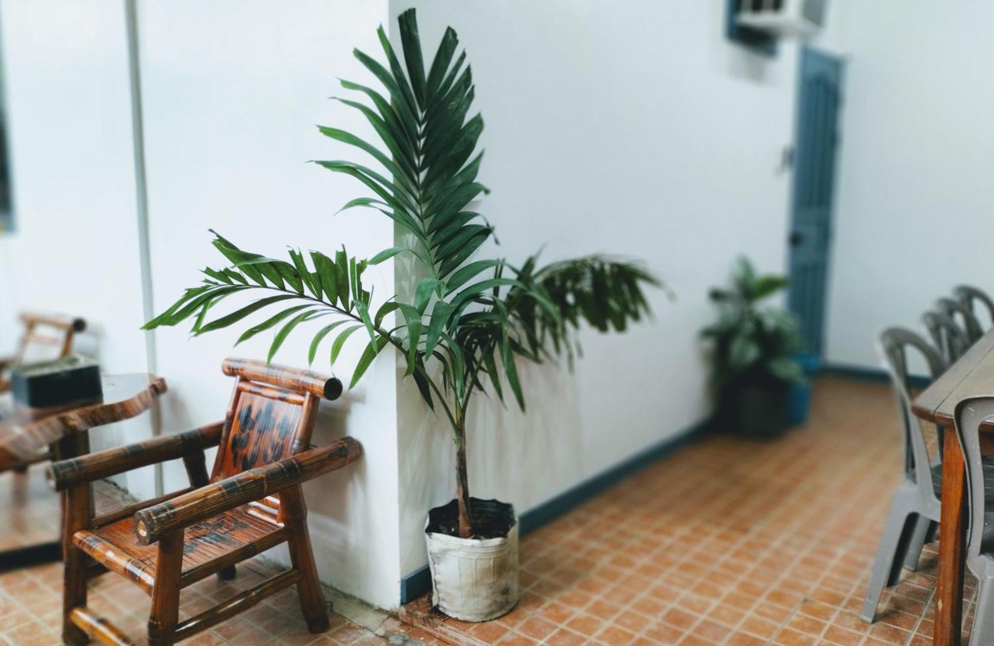 Full House Apartment El Nido Ngoại thất bức ảnh